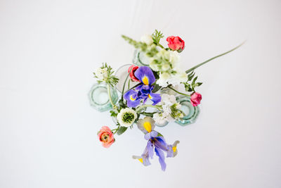 Close-up of purple flowers in vase against white background