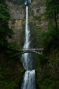 Scenic view of waterfall