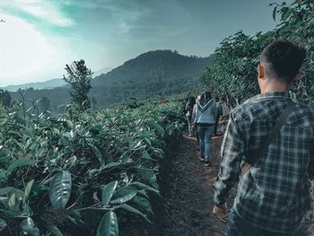 Rear view of people on mountain against sky