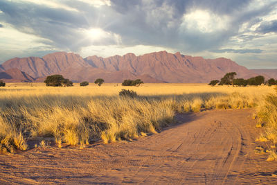 Scenic view of landscape against sky