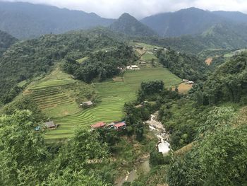 High angle view of trees on field