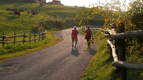 Rear view of people walking on road amidst field