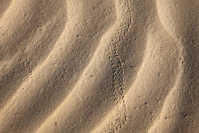 Full frame shot of sand at sahara desert