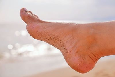 Close-up of hand on wet sand