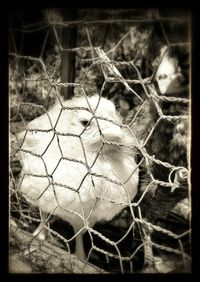 Detail shot of a surface