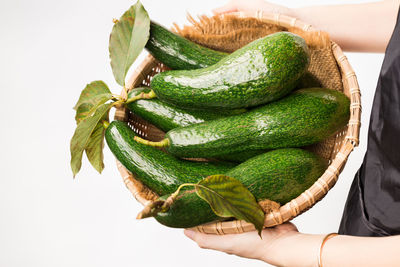 High angle view of hand holding leaf against white background