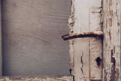 Close-up of old wooden door