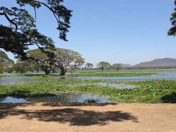 Scenic view of lake against clear sky