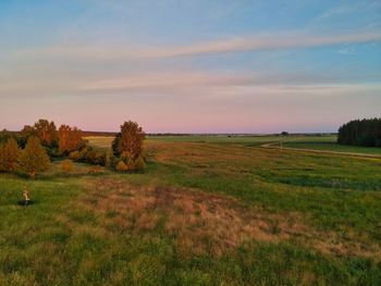 Scenic view of field against sky