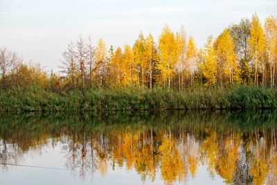 Reflection of trees in lake against sky during autumn