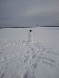 Lonely snowman