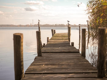 Wooden pier over sea against sky