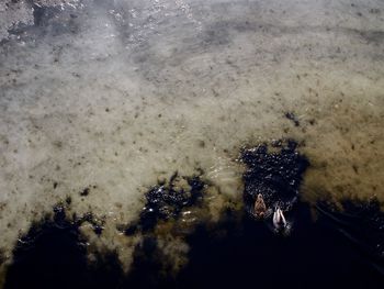 High angle view of person in sea