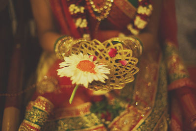 Close-up of flower against blurred background