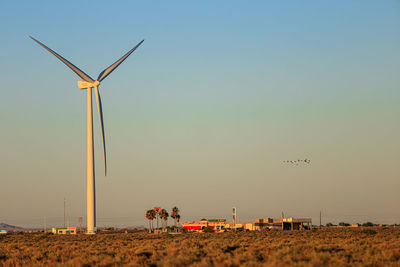 Desert,  windmills , high angle view of agricultural field, desert, sunset