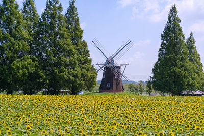 Windmill on field against sky