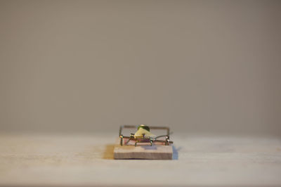 Close-up of mousetrap on table against beige background