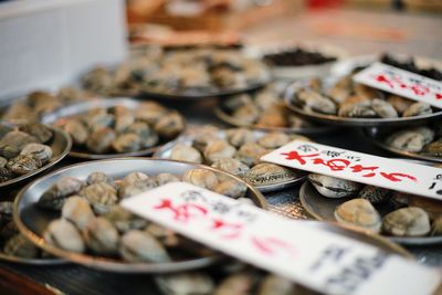 Close-up of seashells in containers for sale at market