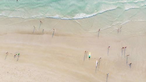 Aerial view of people at beach