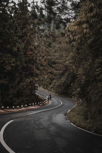 Road passing through trees