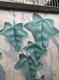 High angle view of leaves on wall