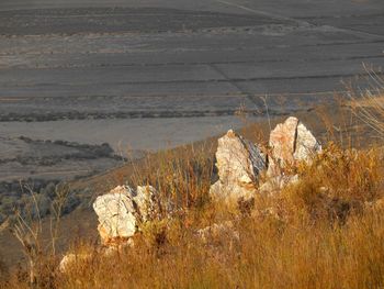 High angle view of rocks on land