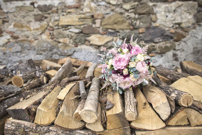 High angle view of pink flowering plant on rock