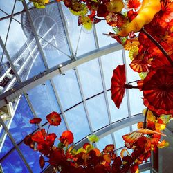 Low angle view of tree against sky