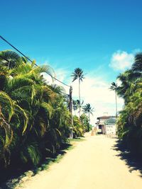 Road by plants and trees against sky