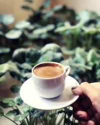 Cup of coffee with plants background 