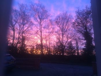 Silhouette trees against sky at sunset