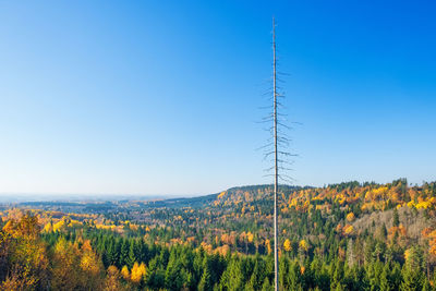 Scenic view of field against clear blue sky