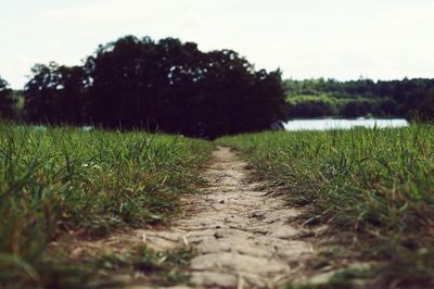 Surface level of walkway amidst grassy field against sky