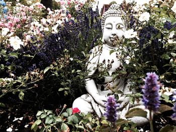 Close-up of flowers blooming outdoors