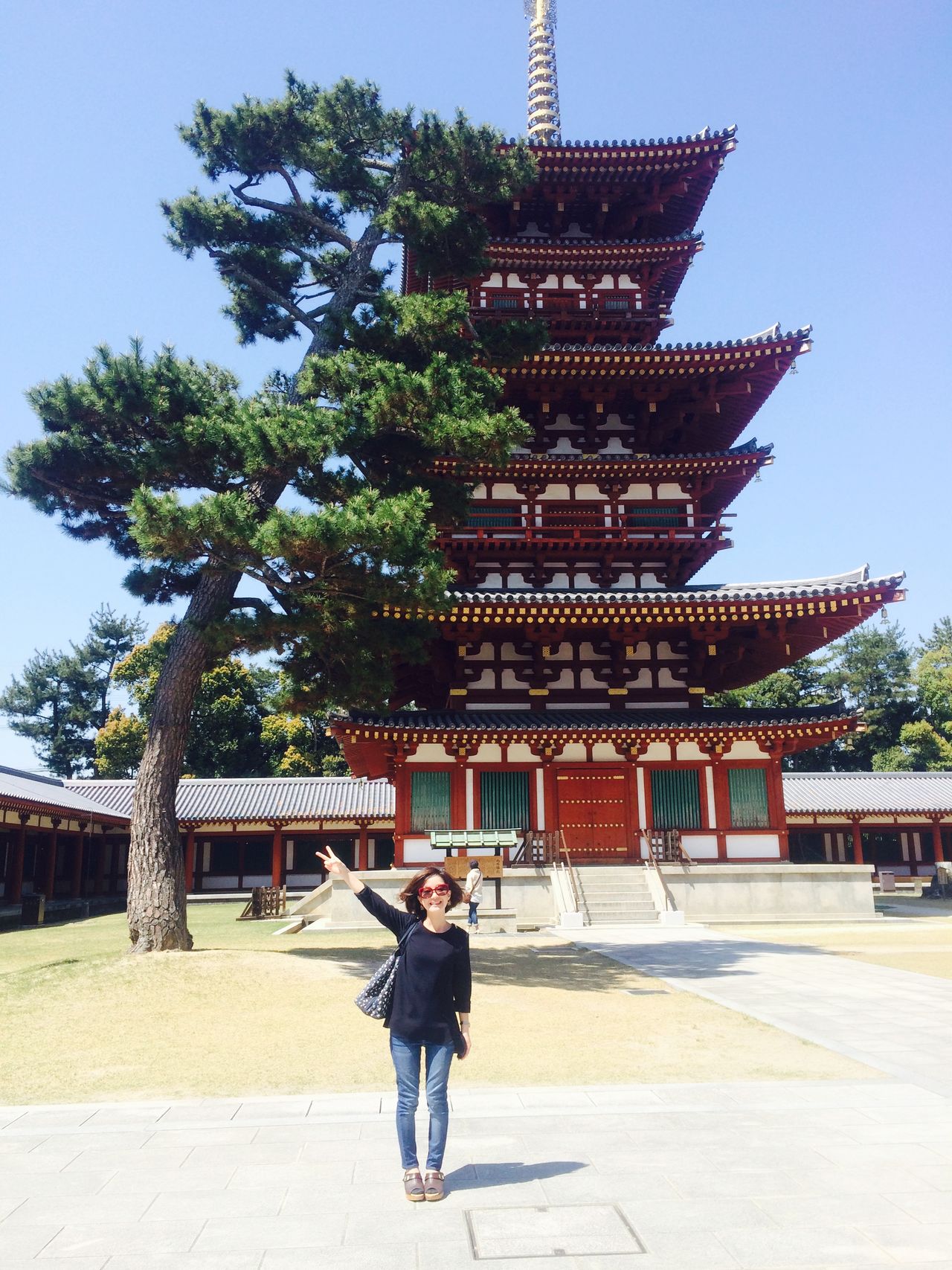 薬師寺 (Yakushi-ji Temple)