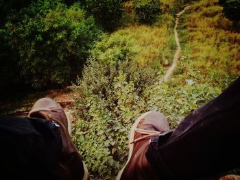 Low section of man relaxing on land