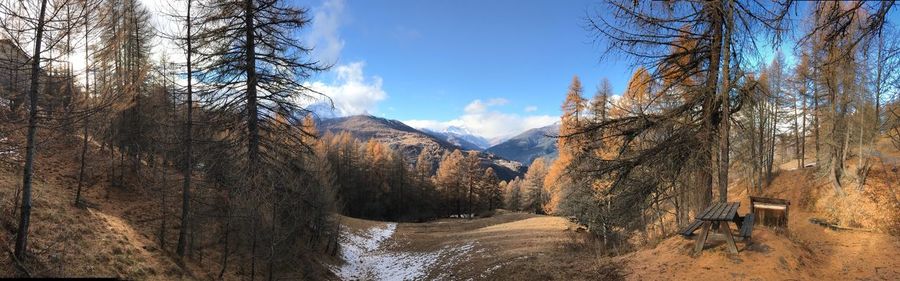 Panoramic shot of trees on mountain against sky