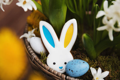 Easter bunny gingerbread cookie laying on the hyacinth flowerpot, moss. rabbit ears are colored