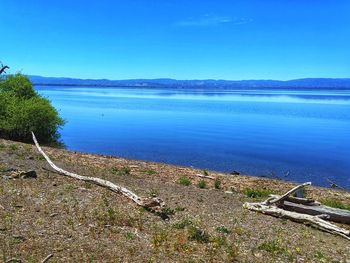 Scenic view of sea against clear blue sky