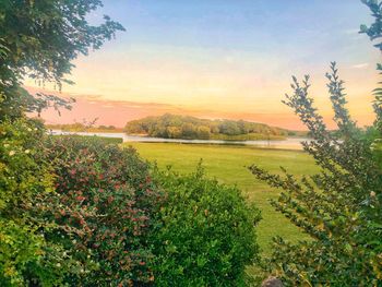 Scenic view of field against sky during sunset