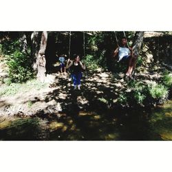 People walking along plants