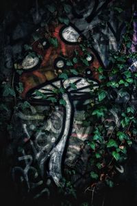 Close-up of graffiti on wall