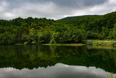 Scenic view of lake by trees against sky