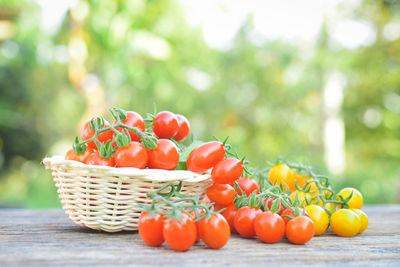 Close-up of cherry tomatoes in basket on table