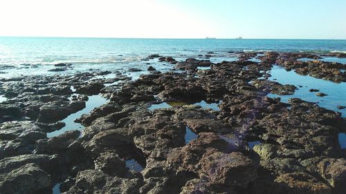 Scenic view of sea against clear sky