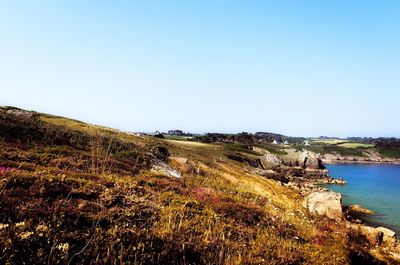Scenic view of sea against clear sky