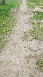 High angle view of grass field