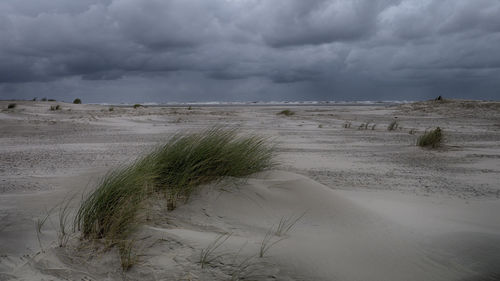 Scenic view of beach against cloudy sky