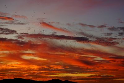 Low angle view of dramatic sky during sunset
