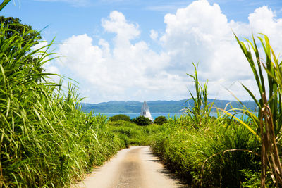 Footpath amidst grass on field against sky